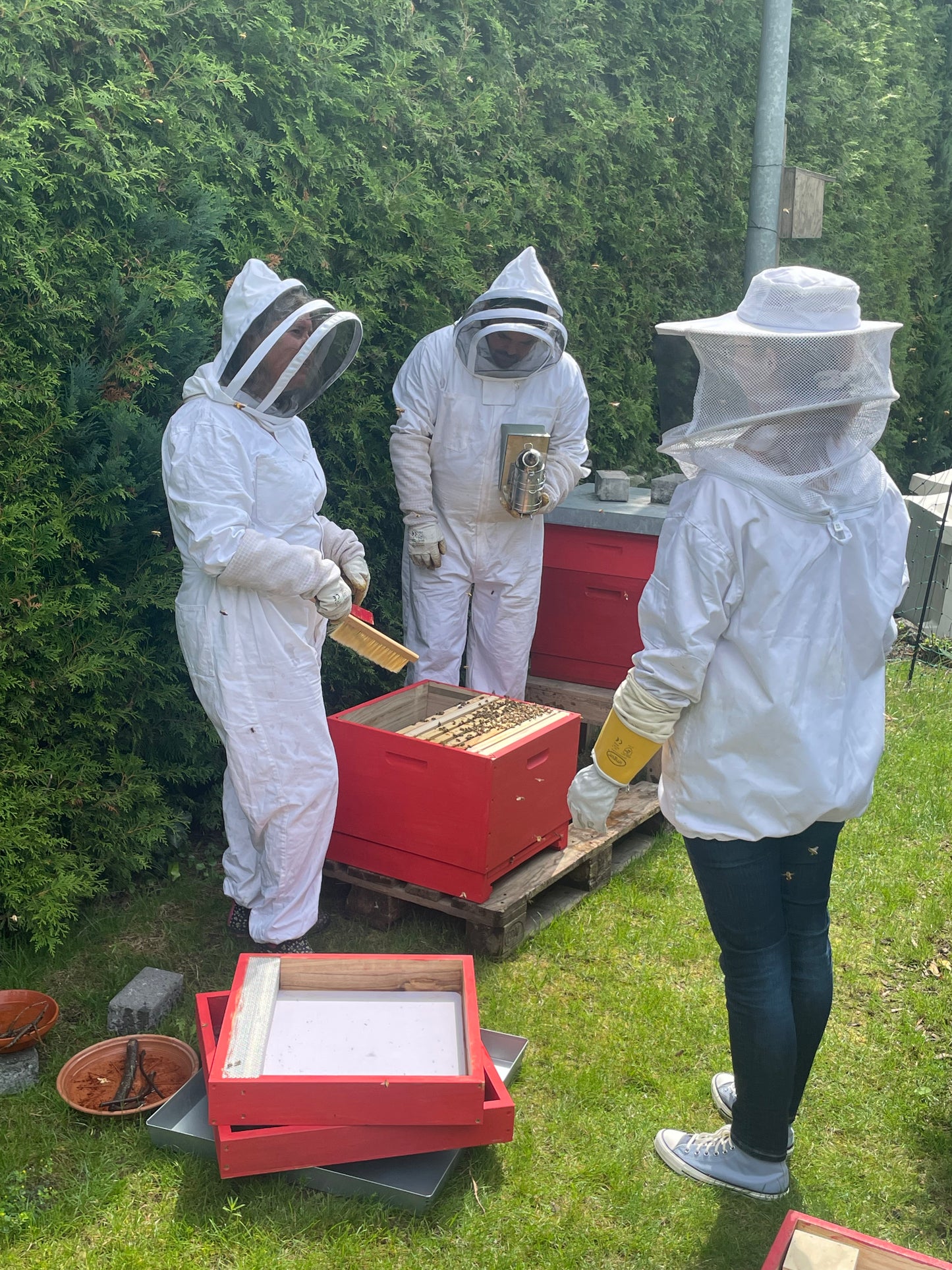 Sommerblüten Honig aus Schwelm